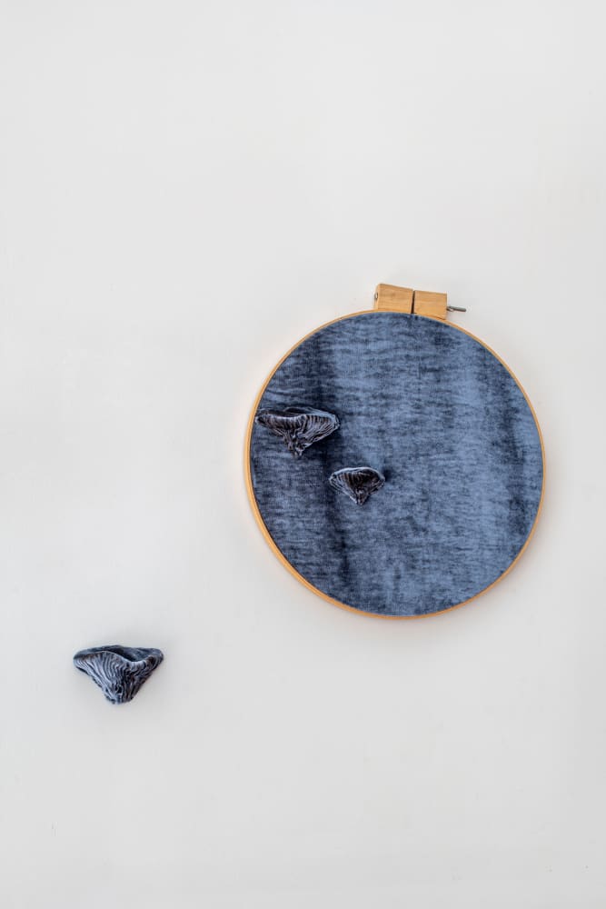 Elodie ANTOINE, Installation proliférante 1 (bleu), 2022