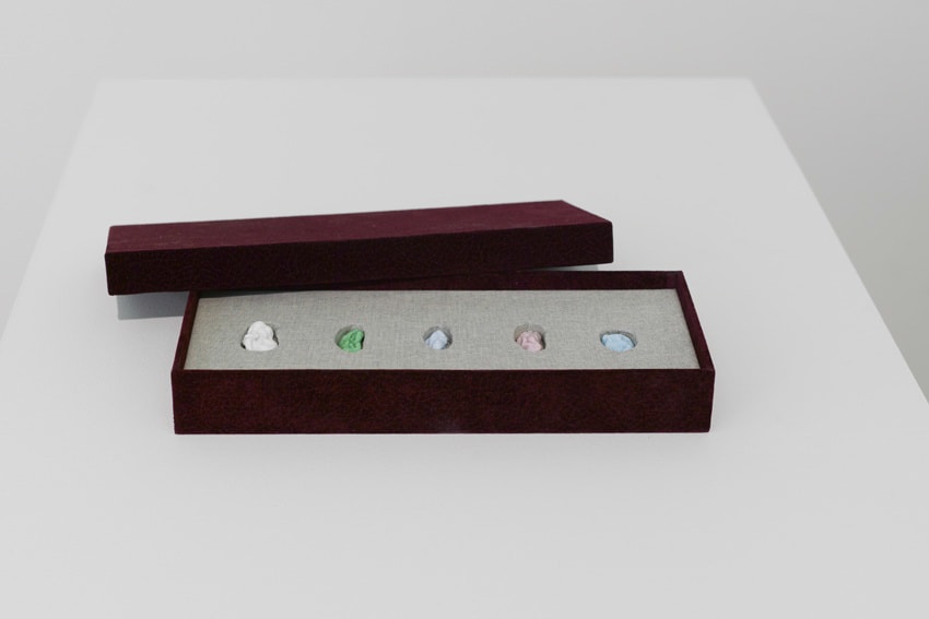 Elodie ANTOINE, 5 Chewing gums, 2014
