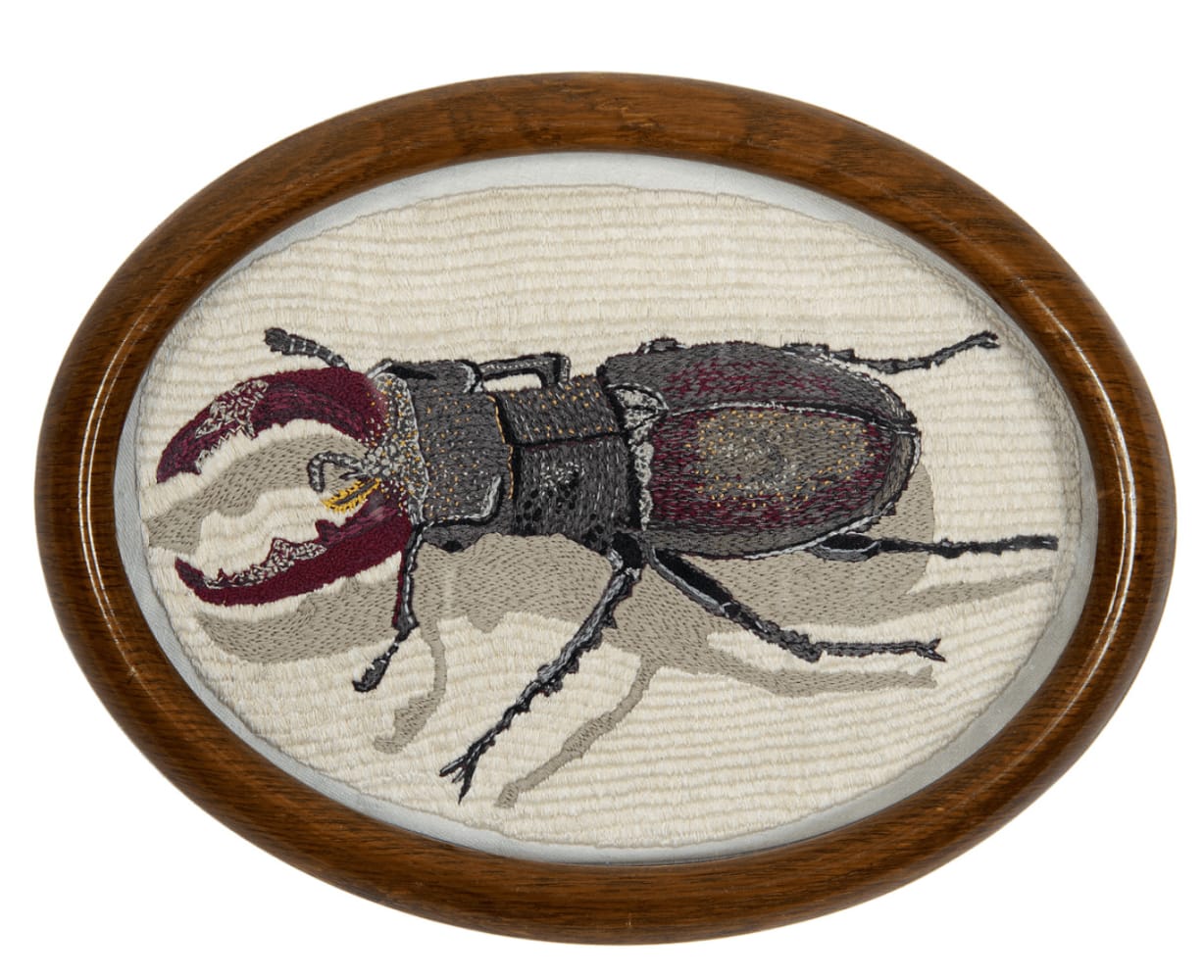 Renate RABUS, Cerf-volant, 2012