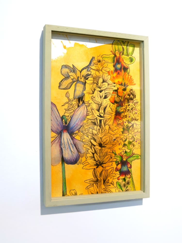 Florentine & Alexandre LAMARCHE-OVIZE, Elisée, un herbier, 2018