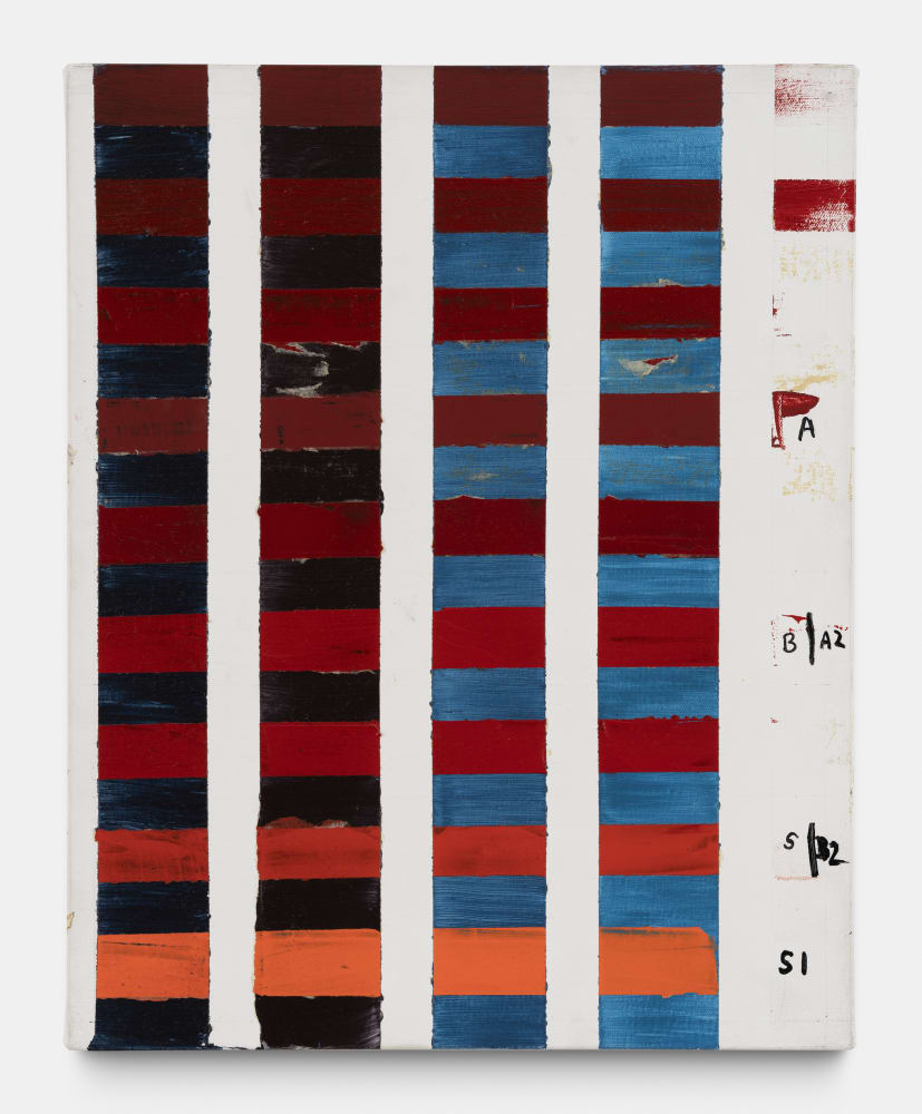 Tanya GOEL, Untitled, 2012-2017