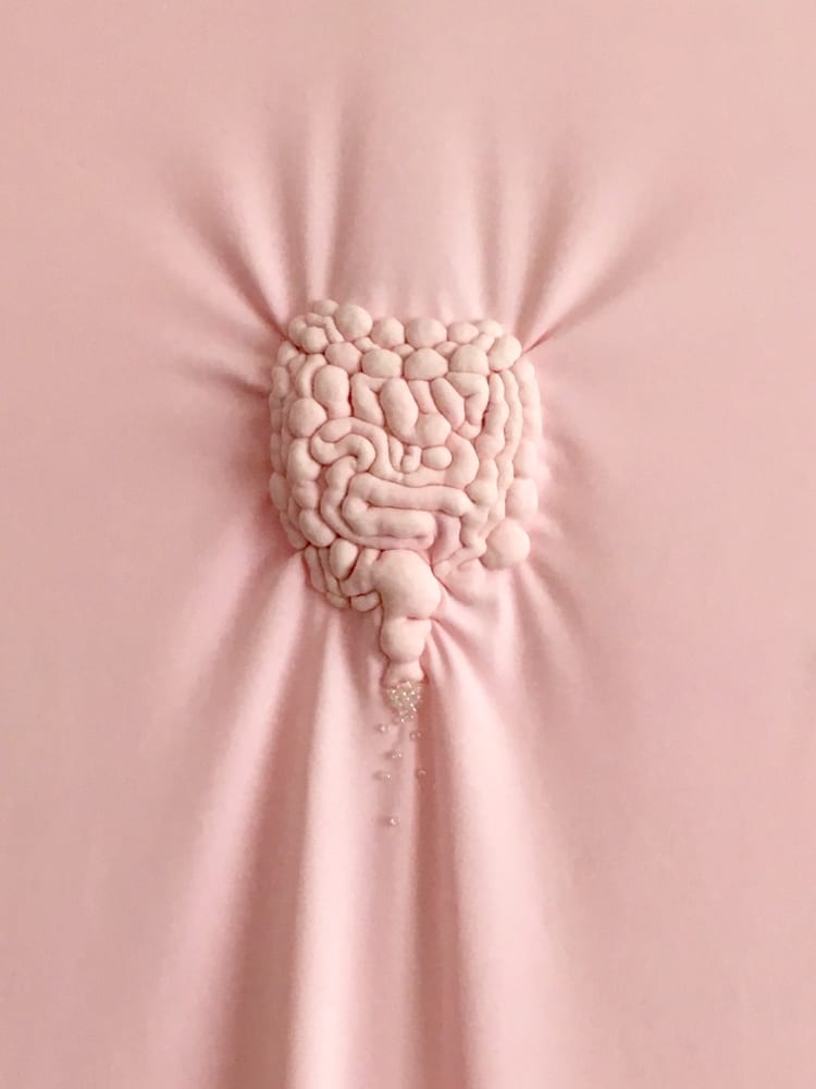 Elodie ANTOINE, Intestin matelassé, 2017