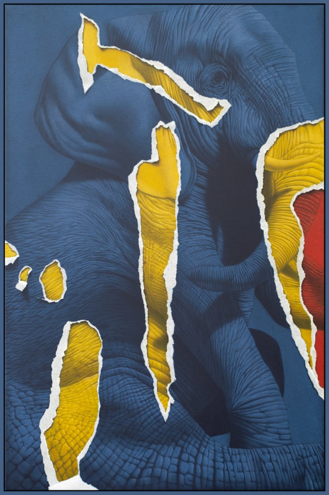 Eckart HAHN, Elephant in the room, 2021