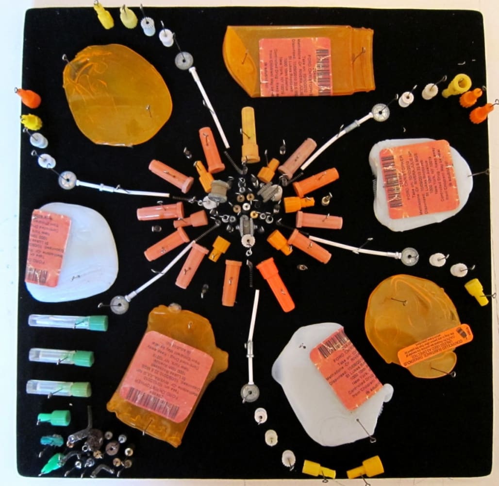 Stephen SHANABROOK, Moth collection, 2011