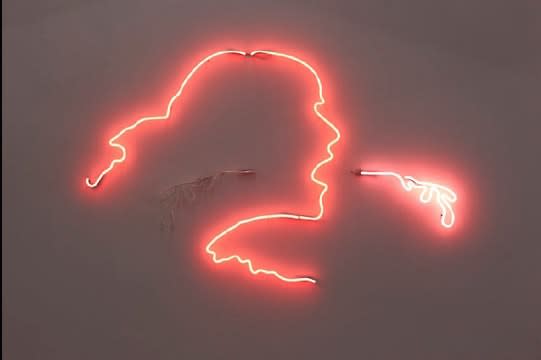Frances GOODMAN, Spit / Swallow, 2012