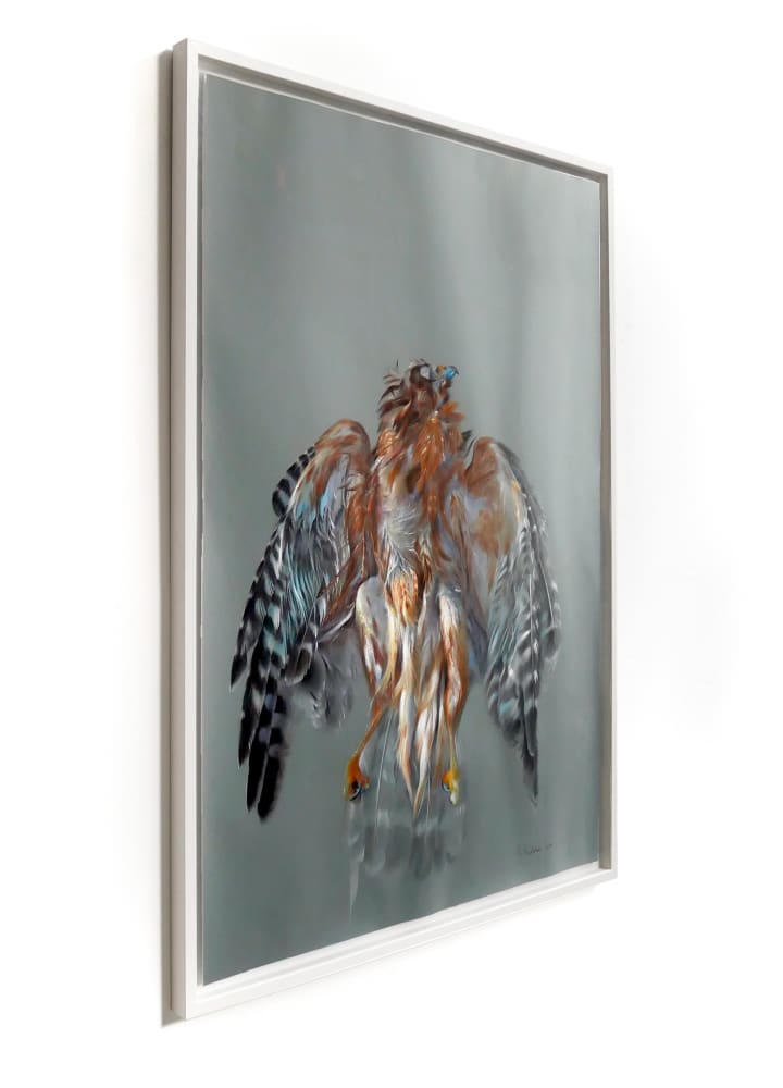 David NICHOLSON, Oiled hawk, 2014