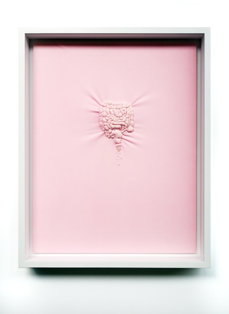 Elodie ANTOINE, Intestin matelassé, 2017