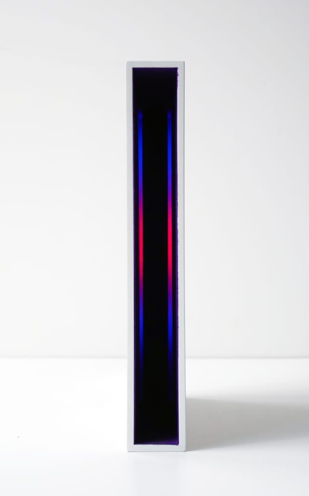 Martin RICHMAN, Bookspace (violet / LED bleu & rouge), 1998-2002