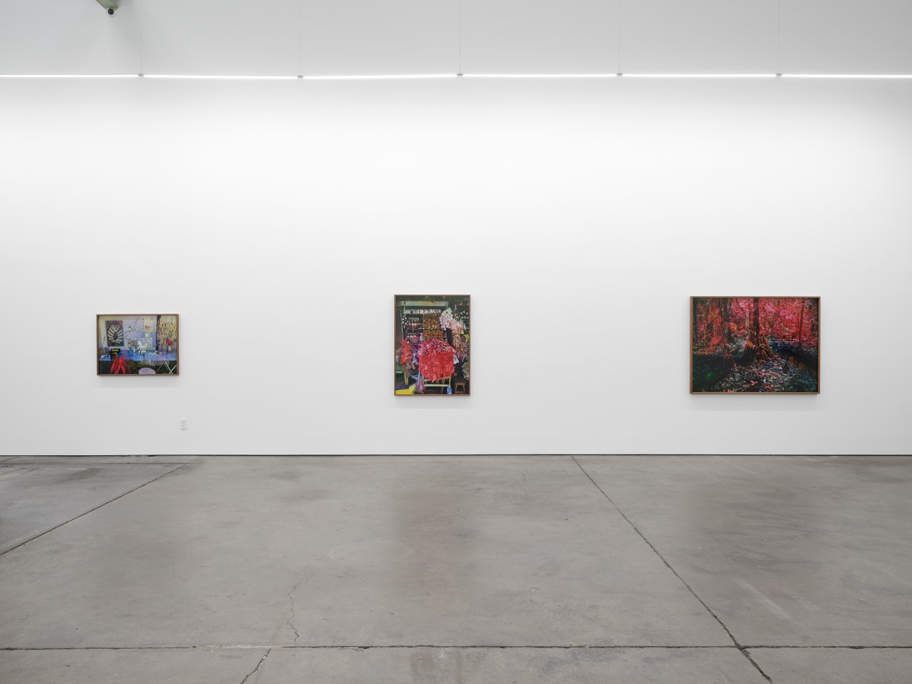 Richard Mosse, Studio for Igor Oliveira, artist, I, Belem, Pará, 2023