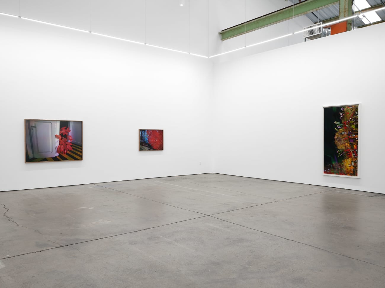 Richard Mosse, Plant in the home of Elaine Arruda, artist, Belem, Pará, 2023