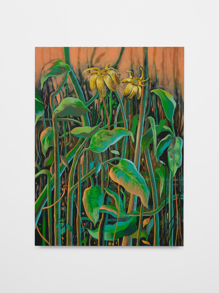 Didier William, Susan’s, 2024