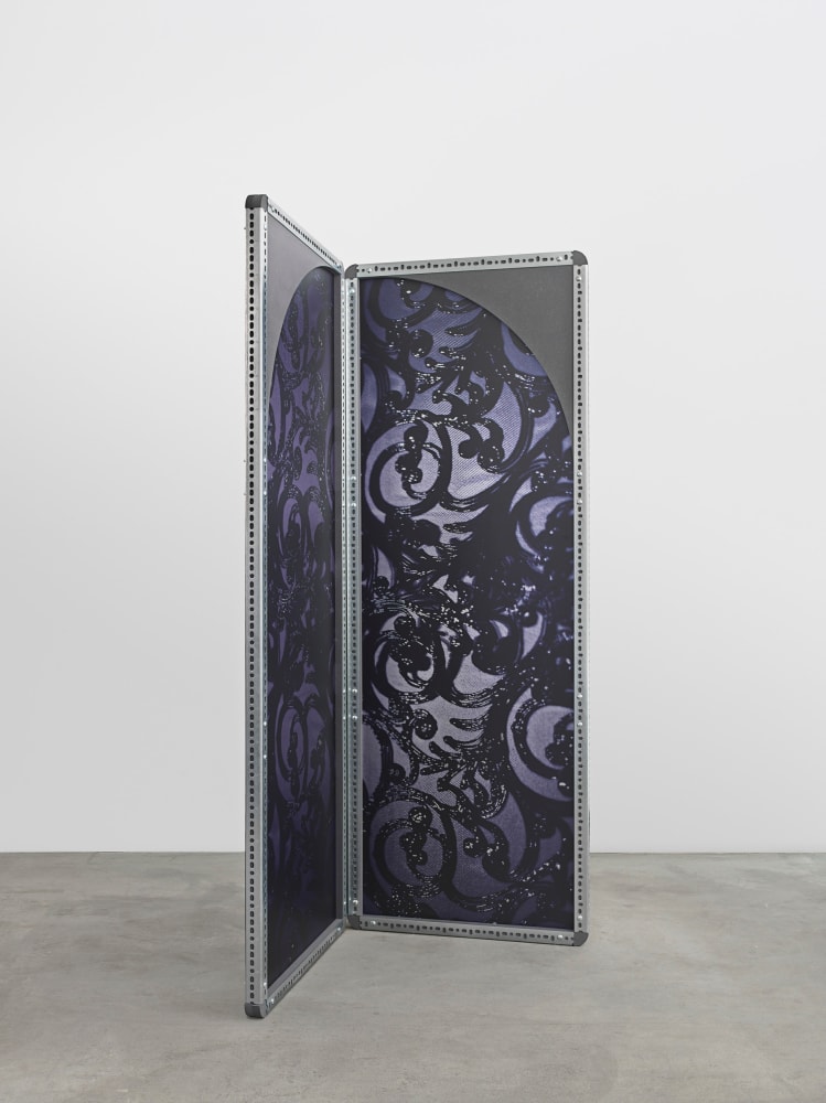Sara VanDerBeek, Lace Interlace X, 2024