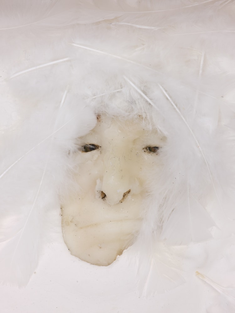 Lynn Hershman Leeson, Blanched expression with Feathers, 1965-2021