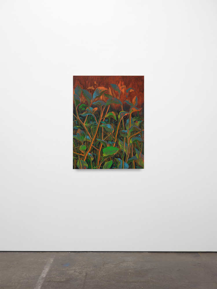 Didier William, Jumpseed, Redseed, 2024