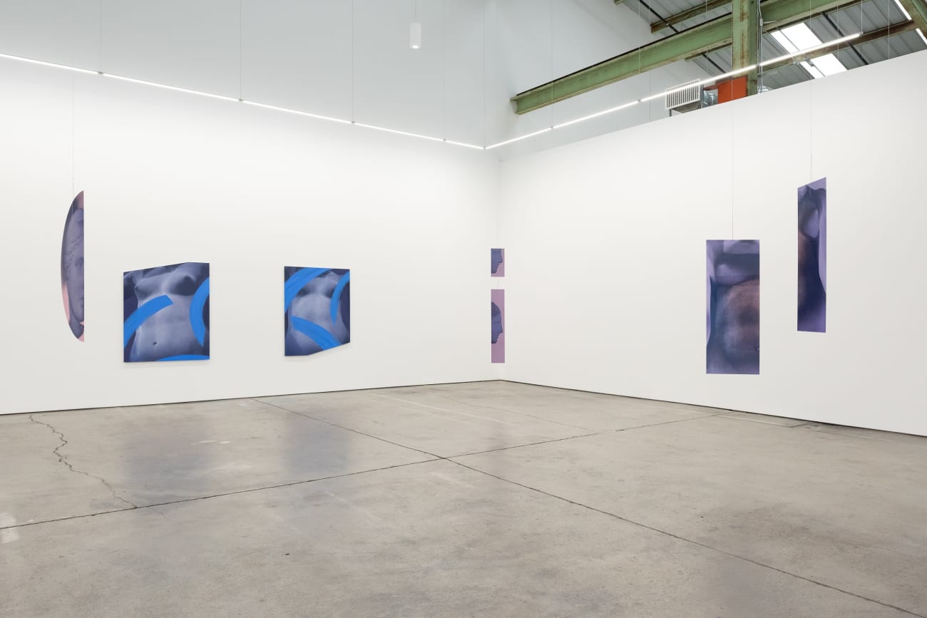 Sara VanDerBeek, Future Variations II, 2021