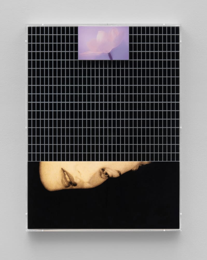 Sara VanDerBeek, Magnolia, 2023