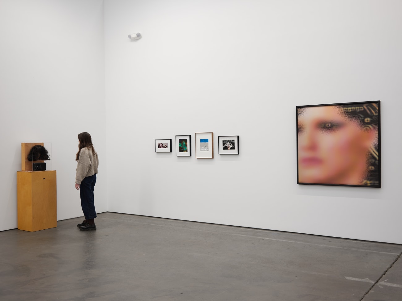 Lynn Hershman Leeson, Transgenic Cyborg, 2000