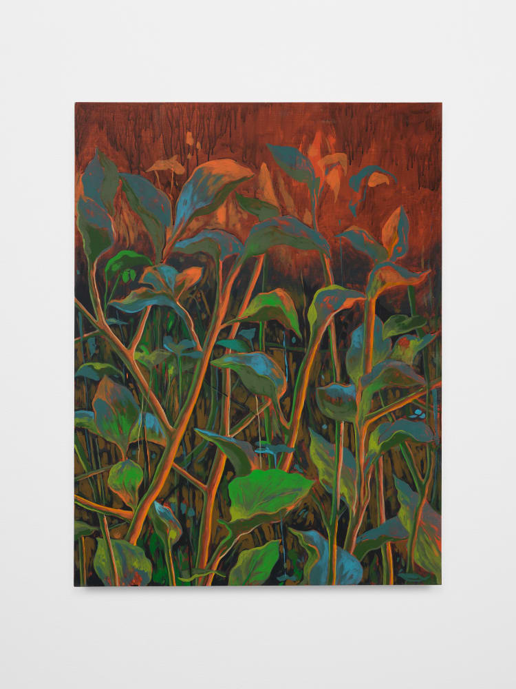 Didier William, Jumpseed, Redseed, 2024