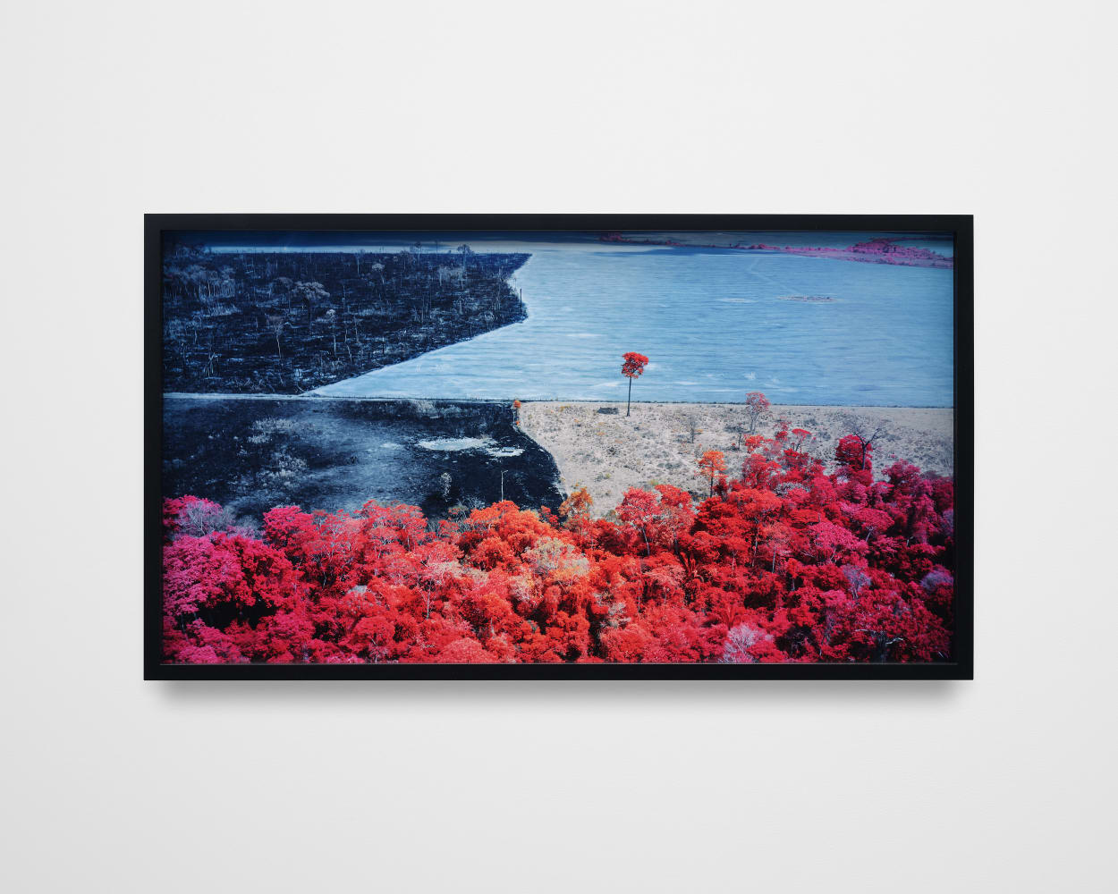 Richard Mosse, Still from Broken Spectre XIV, Rondônia, 2022