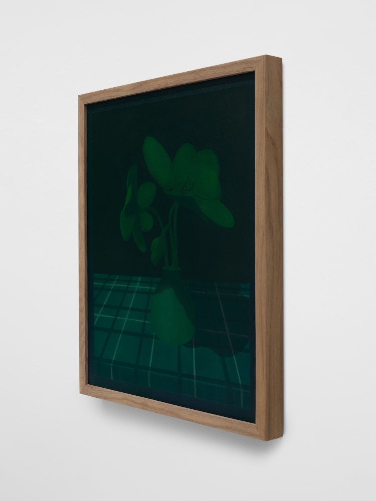 Laeh Glenn, Orchid (Green), 2023