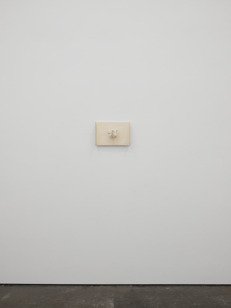 Grant Mooney, Cation c. (vi), 2024