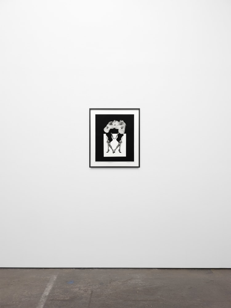 Lynn Hershman Leeson, Binocular Vision, 1987