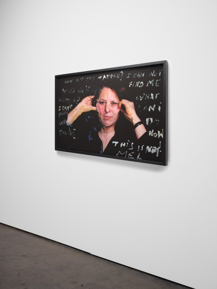 Lynn Hershman Leeson, How Did This Happen?, 2012