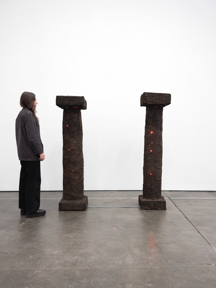 Kiyan Williams, Columns of Babylon, 2023