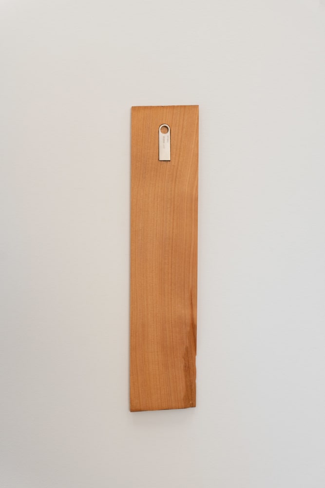 McIntyre Parker, 2022