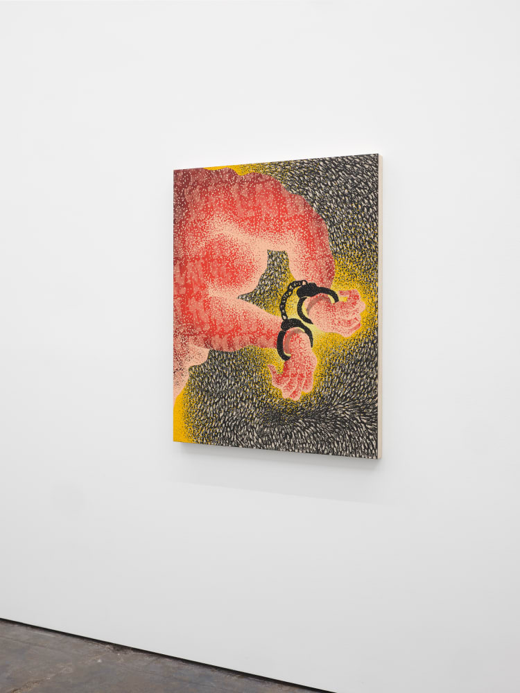 Didier William, Apprehended Without Incident 1, 2021