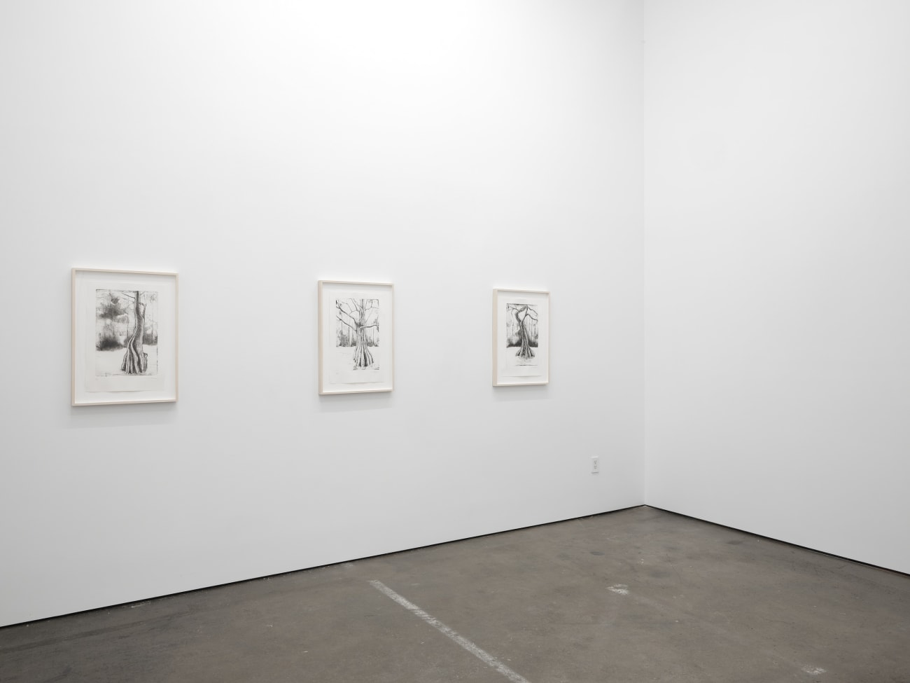 Didier William, Cypress 1, 2024