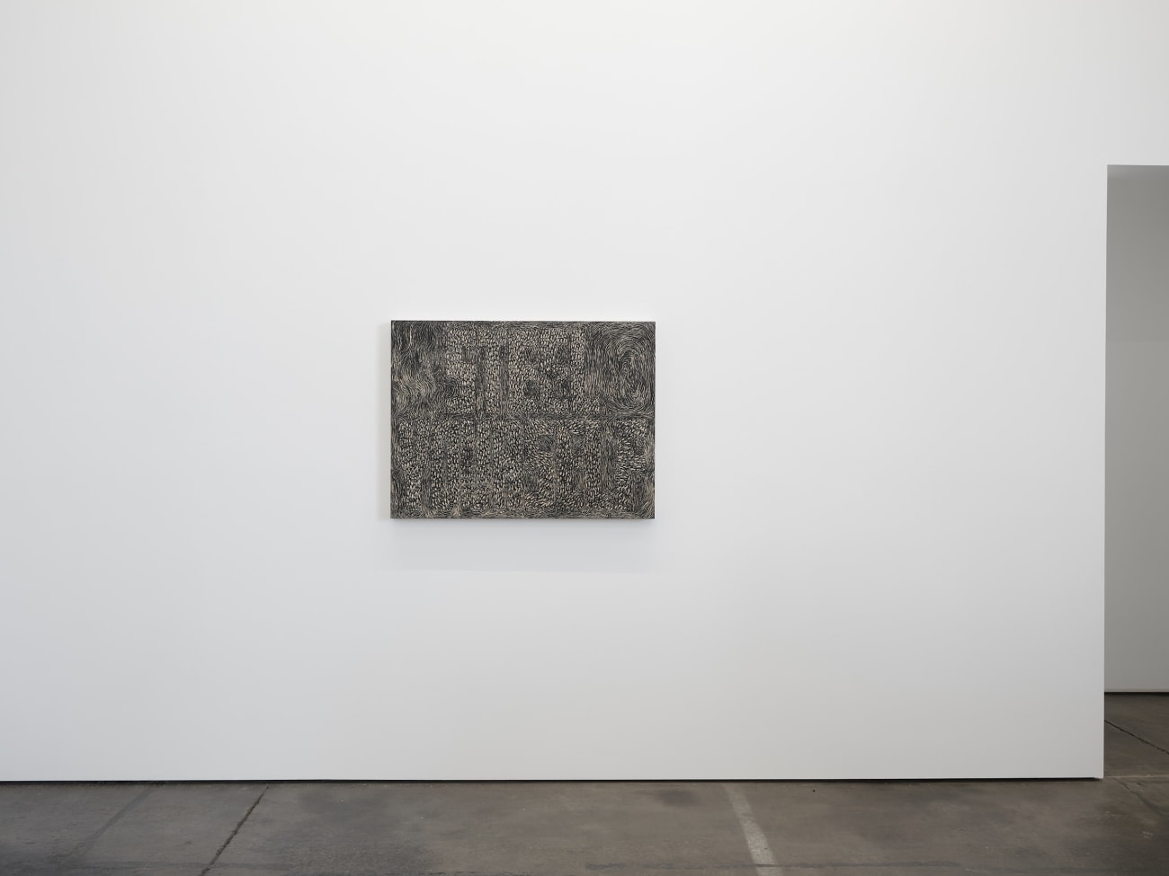 Didier William, Steel Yourself, 2024