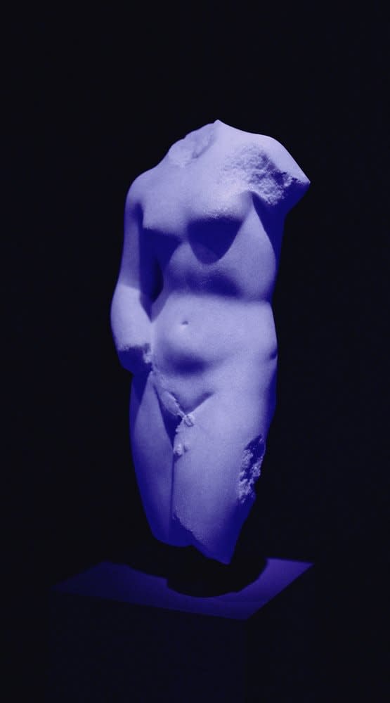 Sara VanDerBeek, Baltimore Aphrodite, 2013