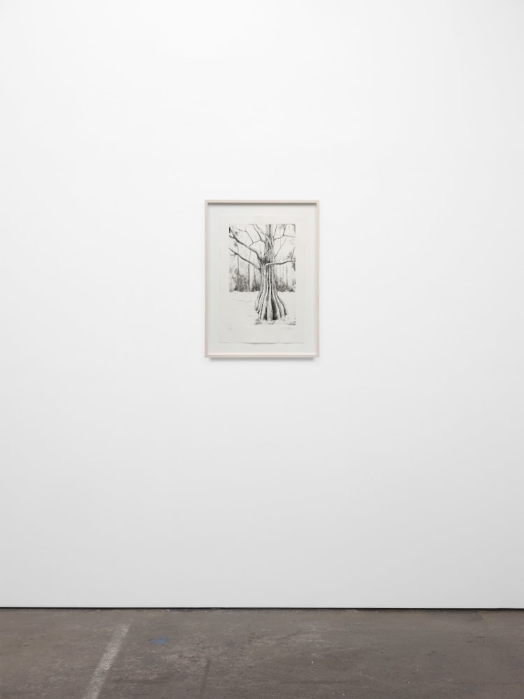 Didier William, Cypress 3, 2024