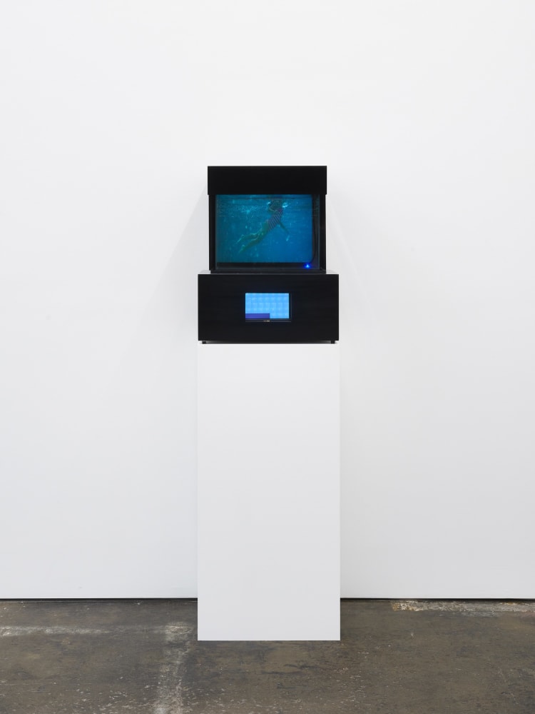 Lynn Hershman Leeson, Present Tense, 2012