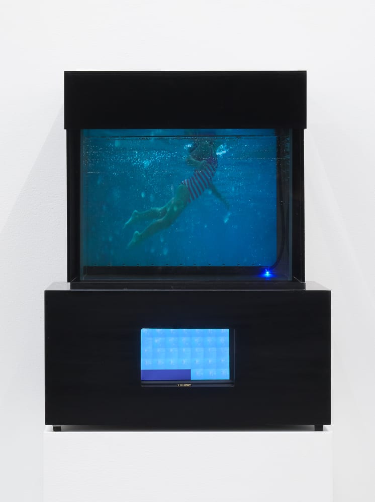 Lynn Hershman Leeson, Present Tense, 2012
