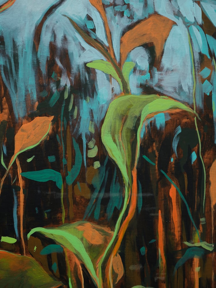 Didier William, Jumpseed, Smartweed, 2024