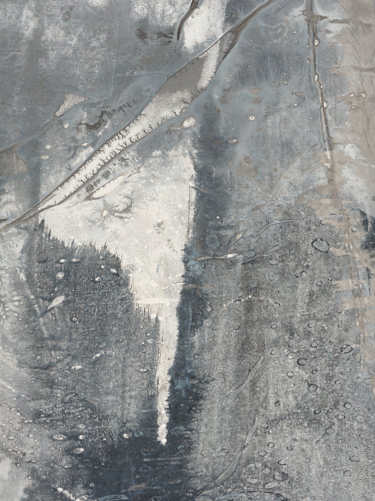 Zheng Chongbin, Hidden Crust, 2024