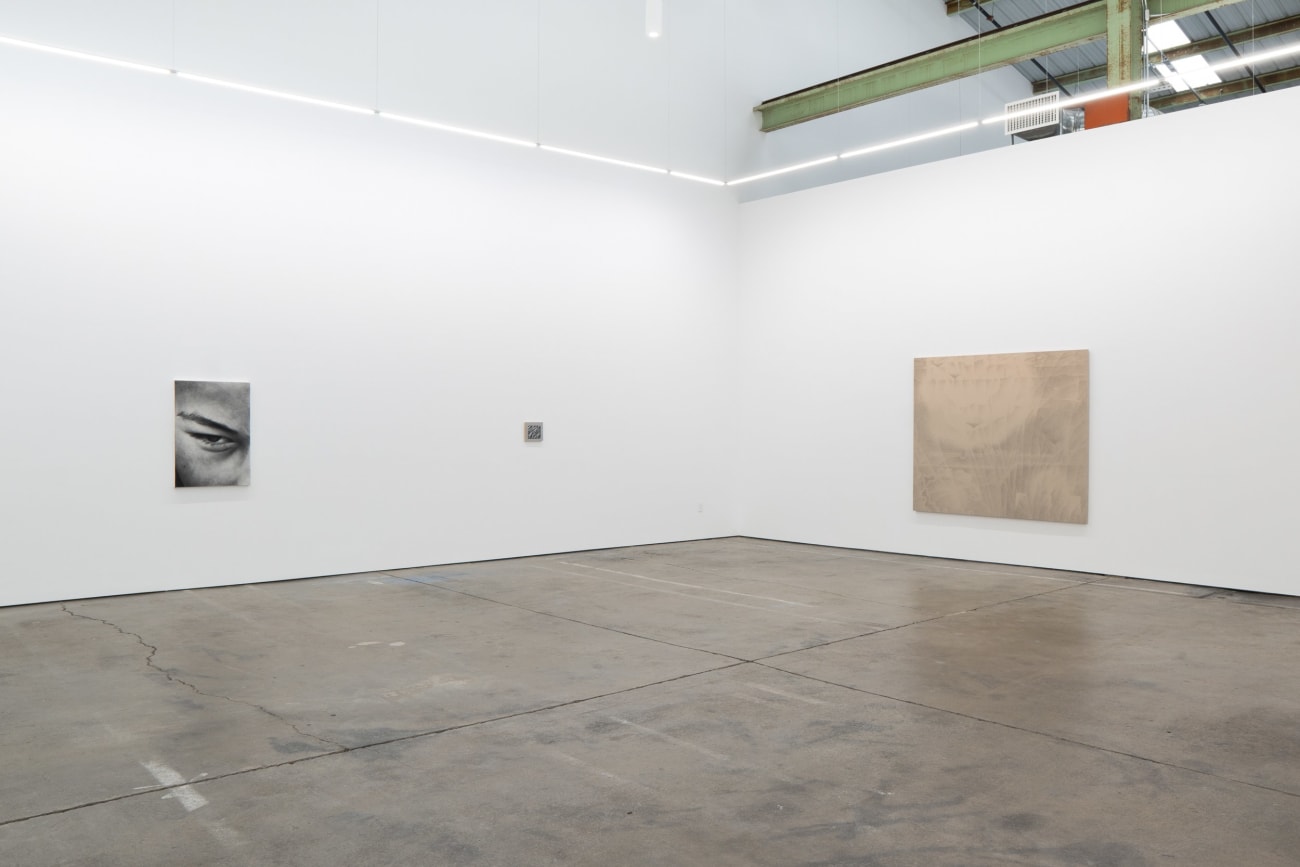 Victoria Gitman, On Display, 2010