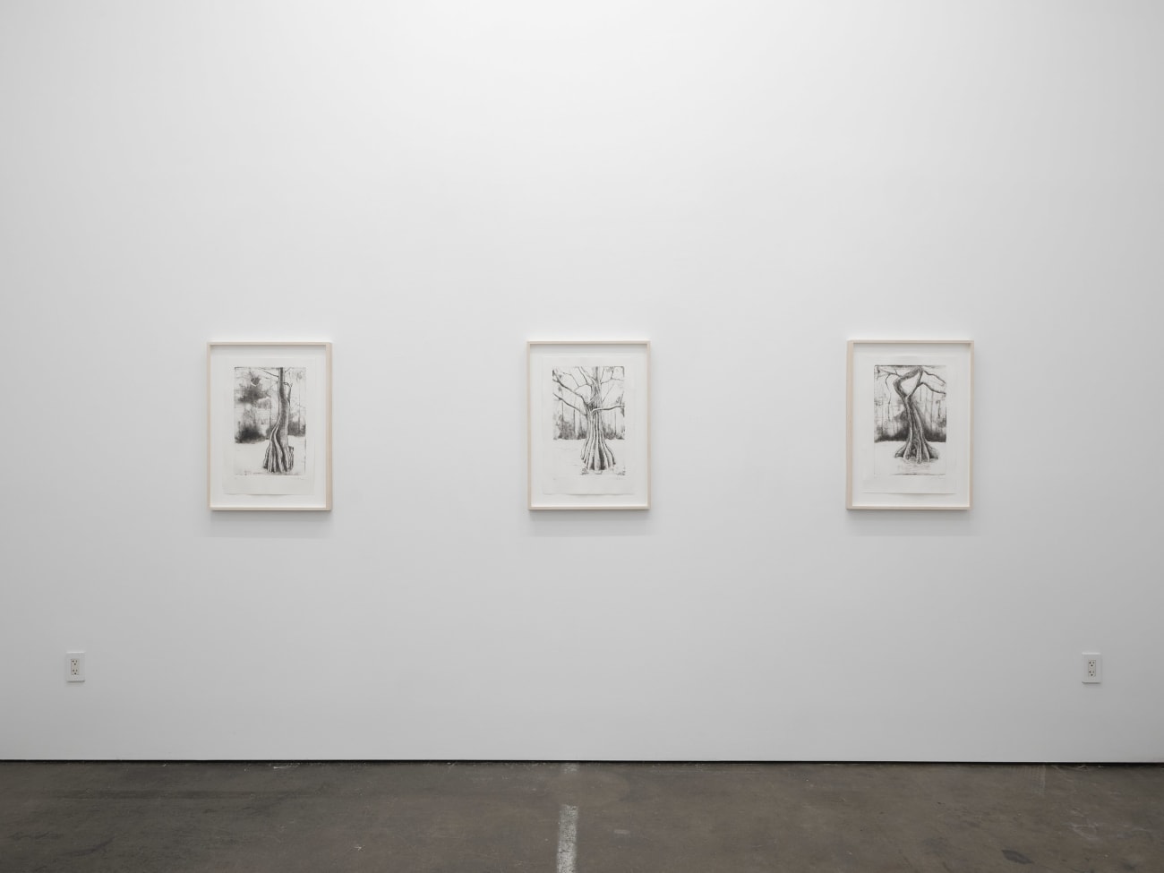 Didier William, Cypress 3, 2024