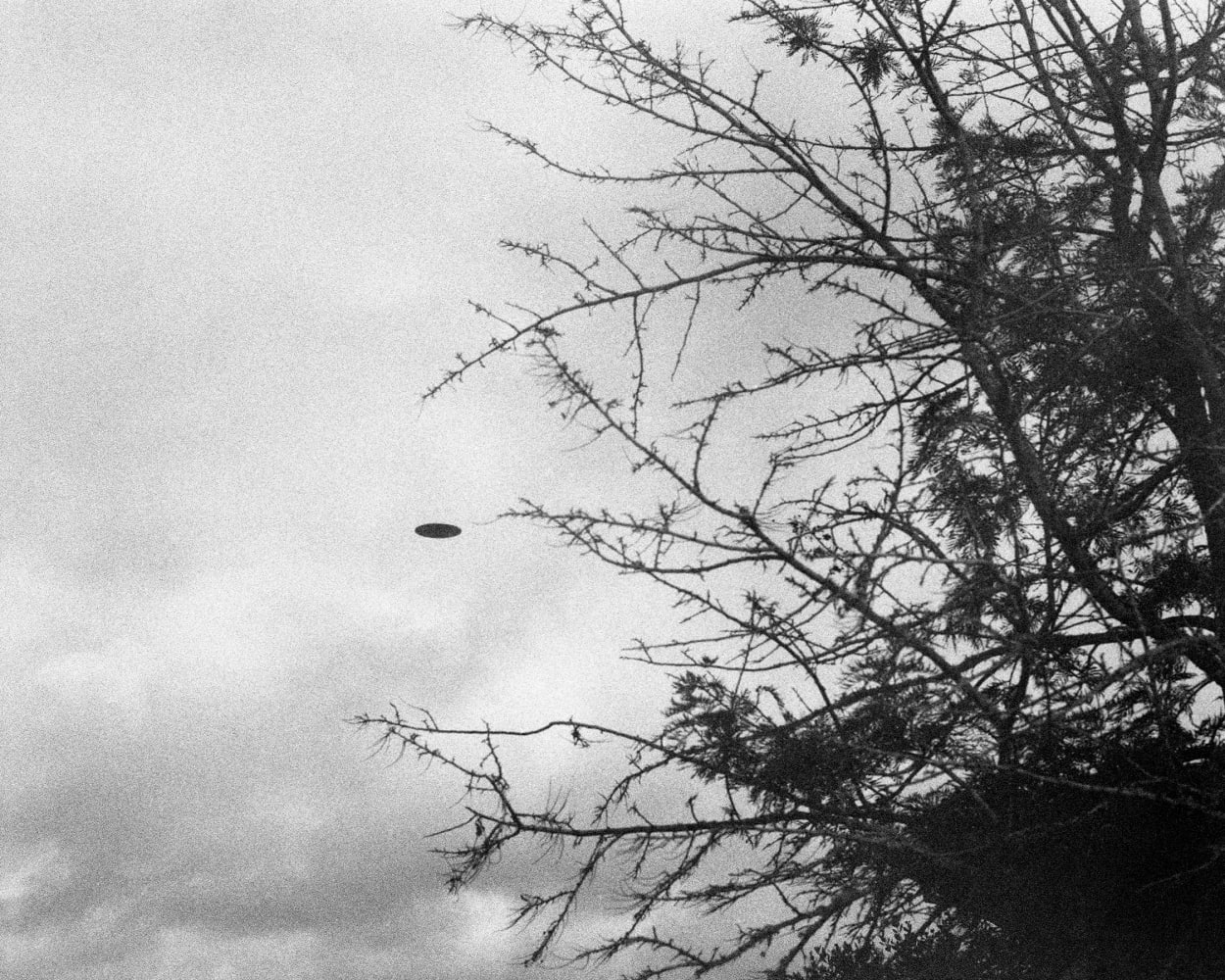 Trevor Paglen, Near Dutch Lane (undated), 2024