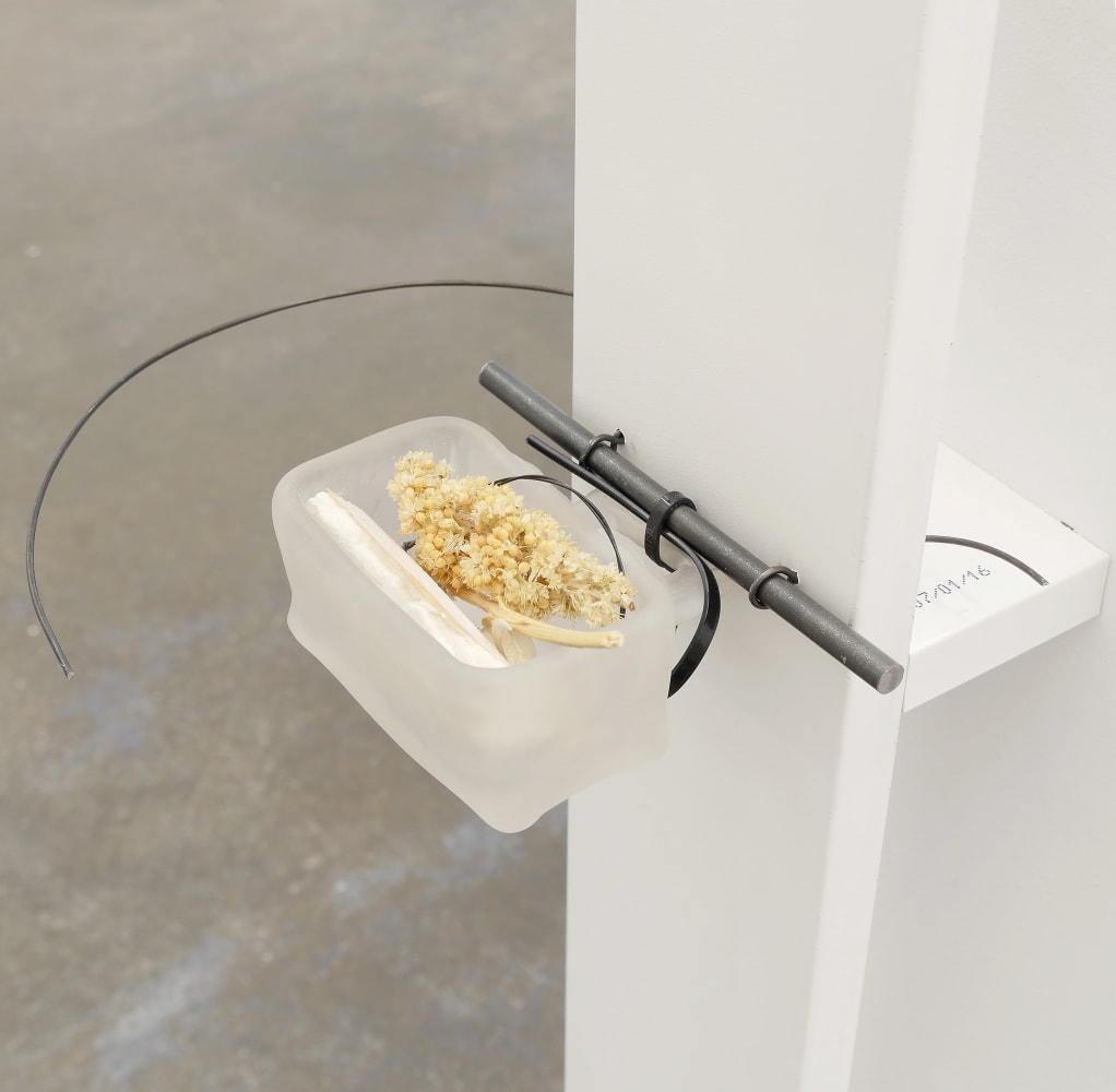 Grant Mooney, Carrier I, 2016