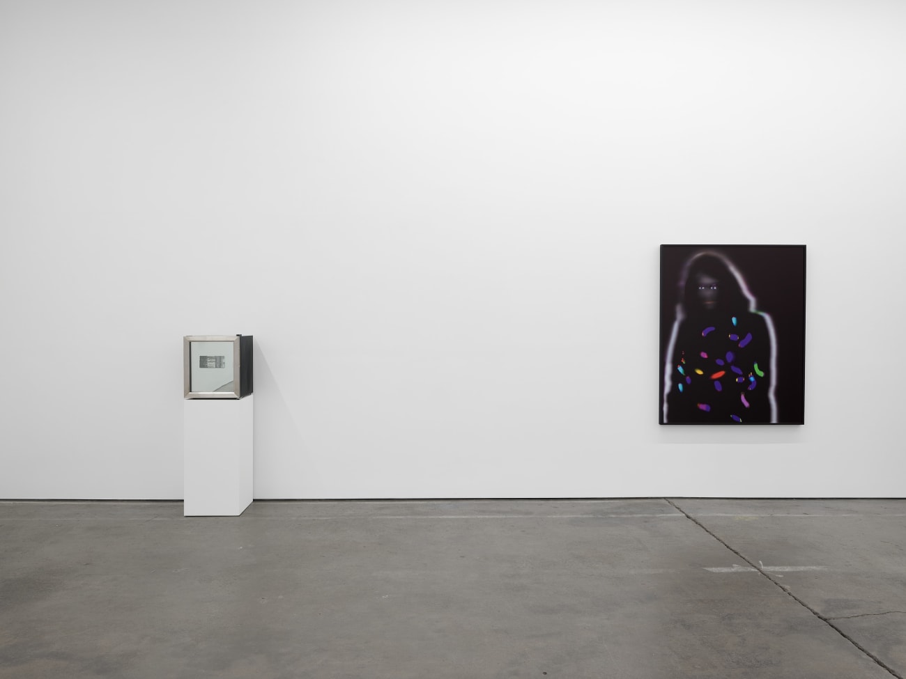 Lynn Hershman Leeson, Home Companions, 2025