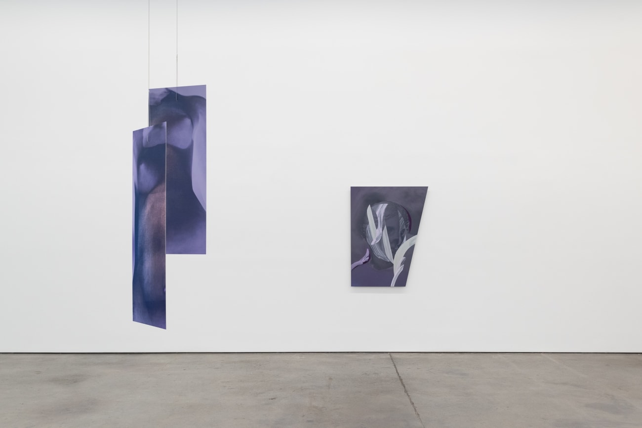 Sara VanDerBeek, Future Variations II, 2021