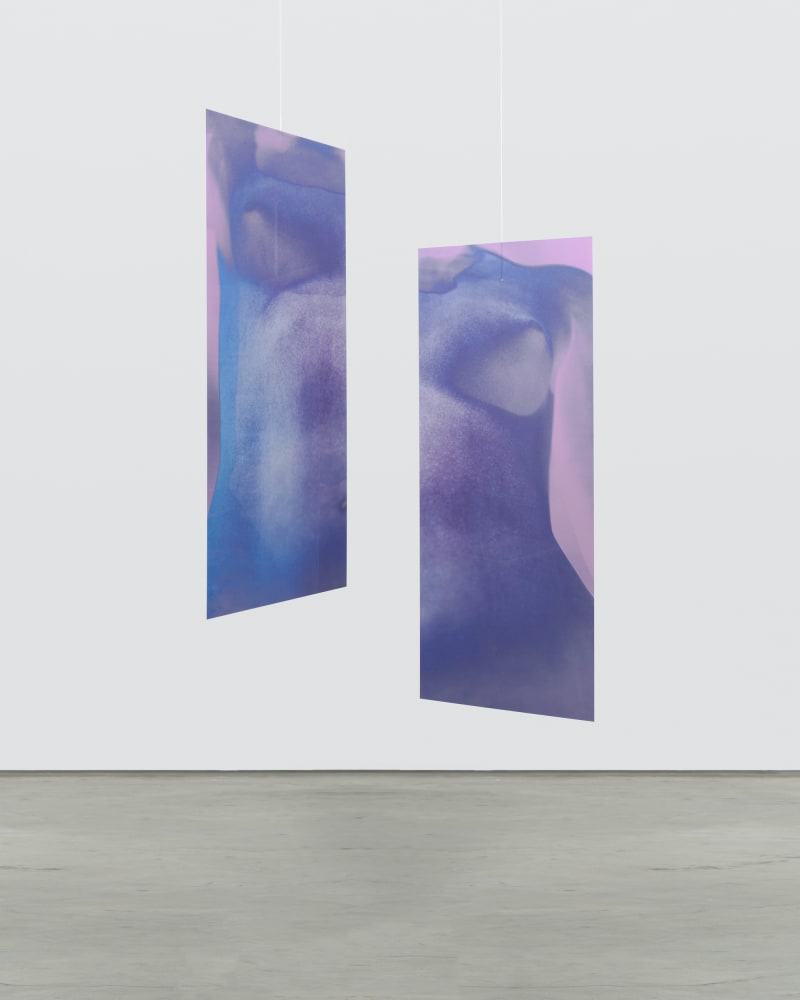 Sara VanDerBeek, Future Variations II, 2021