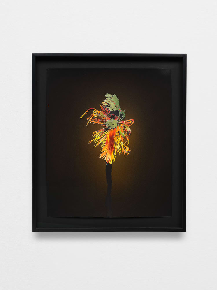 Francesca Gabbiani, Limelight, 2021