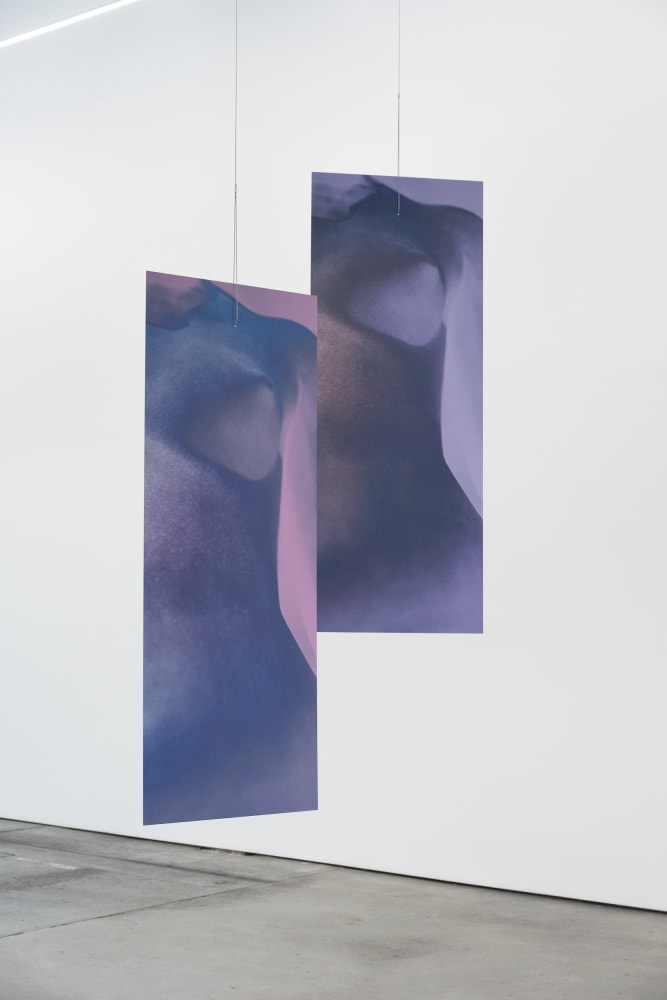 Sara VanDerBeek, Future Variations II, 2021
