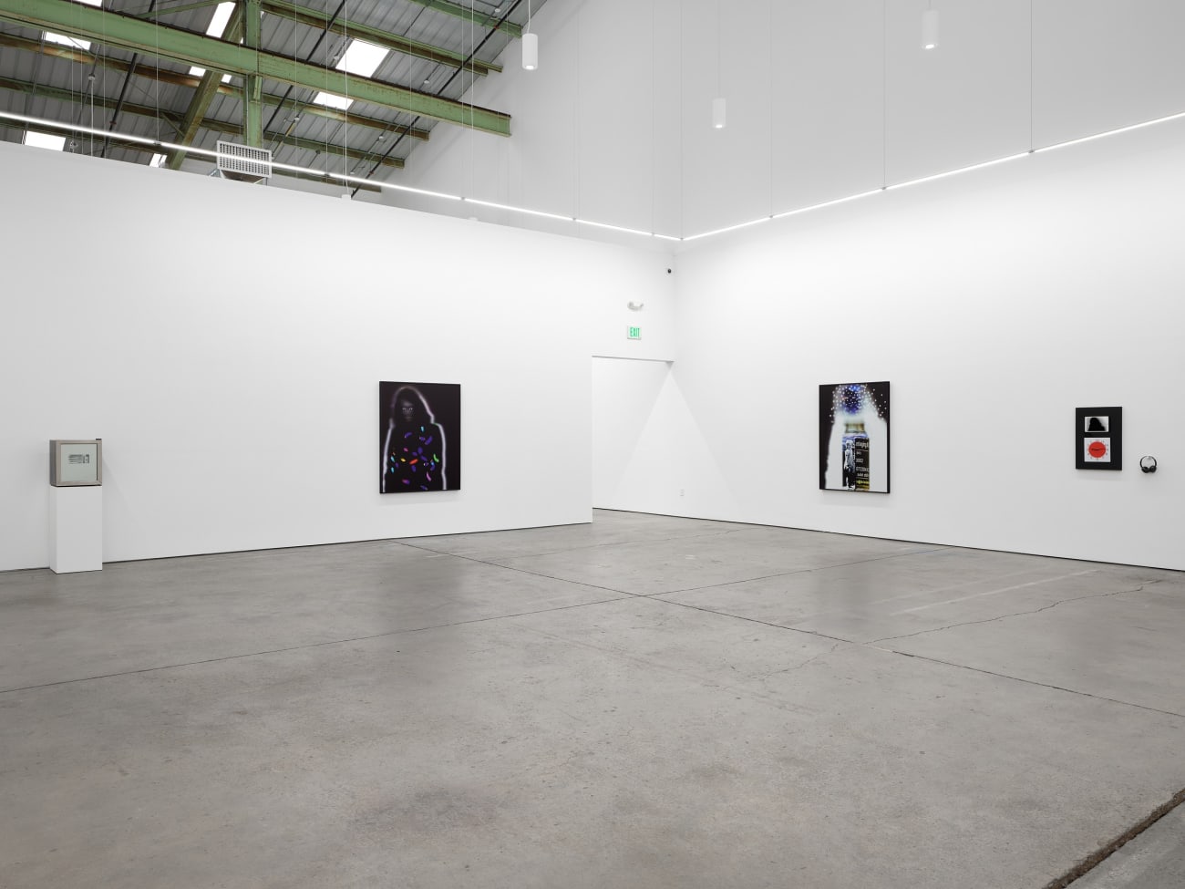 Lynn Hershman Leeson, Home Companions, 2025