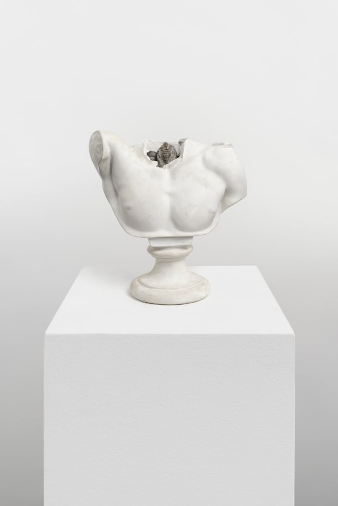 Fred Wilson, Untitled (Bust), 1992-2000