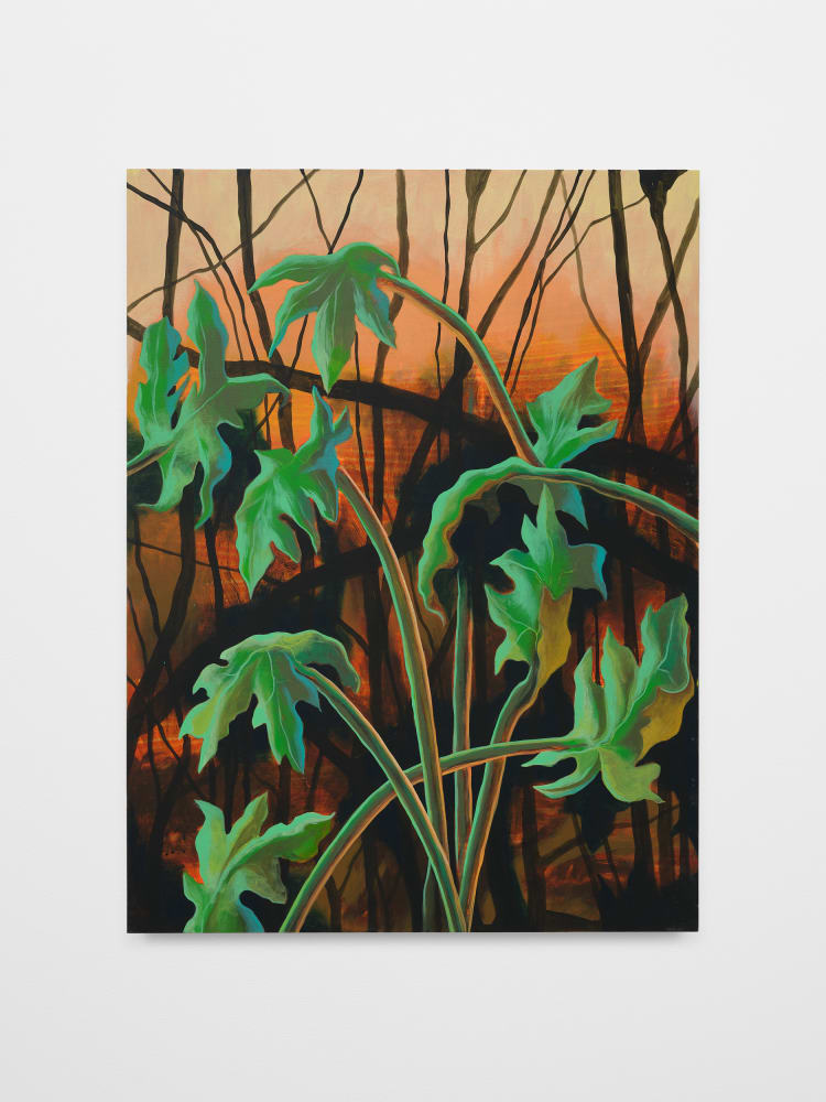 Didier William, Miami Papaya, 2024